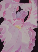 /album/mary-kosary/mary-kosary-jpg1/